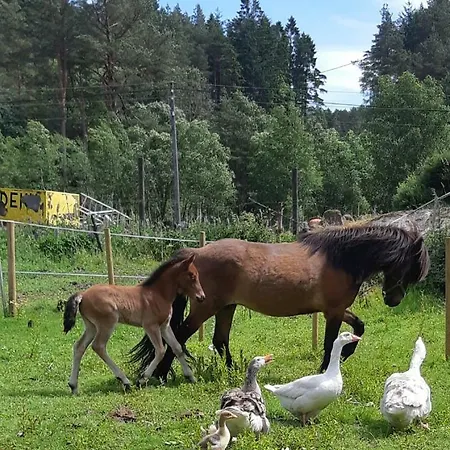 Stall Hav-vik Farmstay
